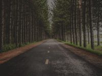 notgeneric_bg1.jpg