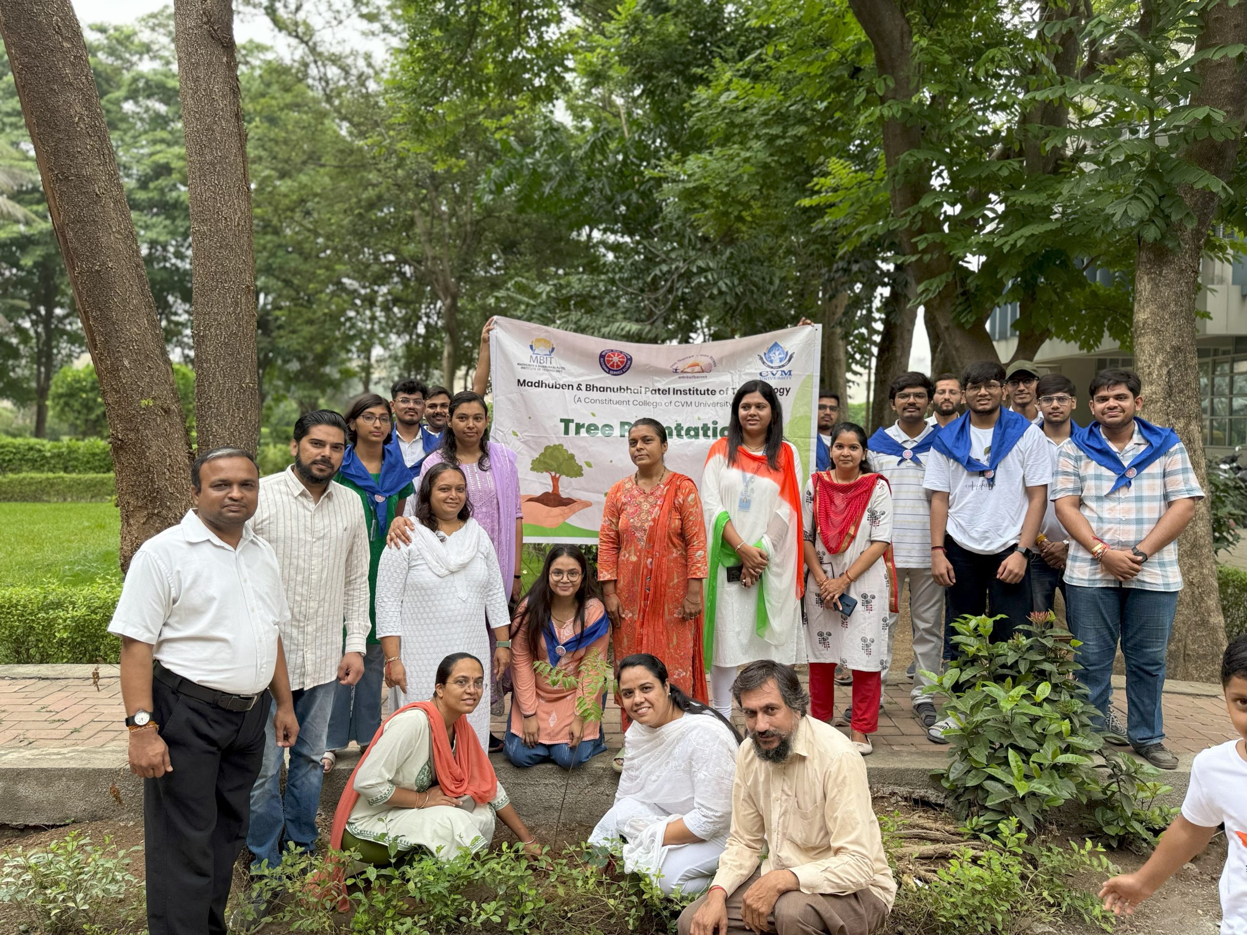 Tree Plantation